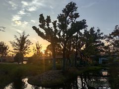 -上海植物园-4号门售票处
