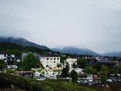 -龙坞茶村