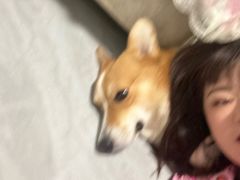 -星巴克(天津大悦城第二店)