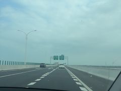 -大湾区中央湿地公园
