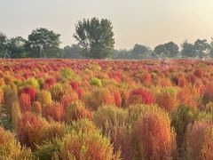 -汉长安城未央宫国家考古遗址公园