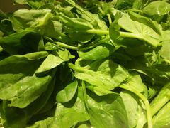 -黔蘑菇四季餐厅(观山湖店)