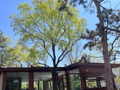 -熙古里艺术村