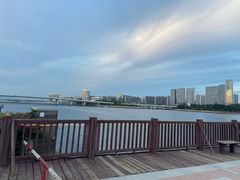 -五缘湾湿地公园