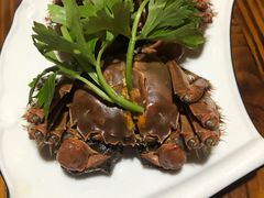 -呼吸森林·生态农庄农家乐私房菜