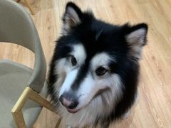 -白兔子密室(长寿路店)