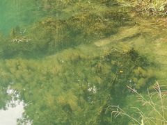 -重庆九凤瑶池海明山庄