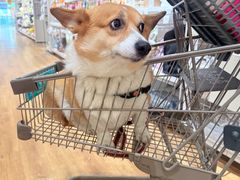 -凯德广场(金牛店)