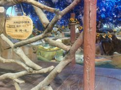 点击看大图 -奇幻萌宠部落(映月湖环宇城店)