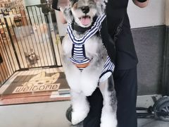 -小尾巴宠物店(万科·金域华庭店)