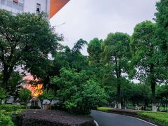 -西南政法大学(渝北校区)