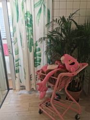 -杨丹国际美学肌研所