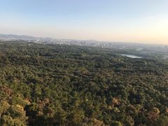 -紫金山索道-售票处