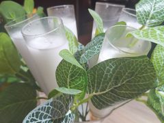 -探窝·竹笙椰子鸡(杨箕店)