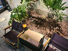 -J Create城市露营咖啡·简餐·宠物(上海动物园店)