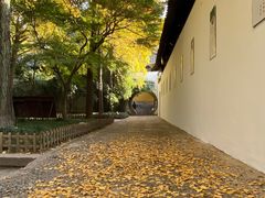 -西园戒幢律寺
