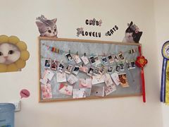 -芭比堂动物医院·犬猫全科·异宠专科(雁塔分院)