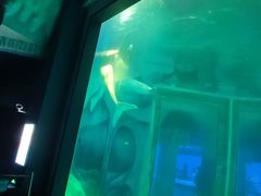 -上海海昌海洋公园-冰山北极馆