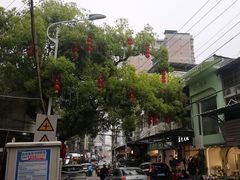 -溪岸路花鸟市场