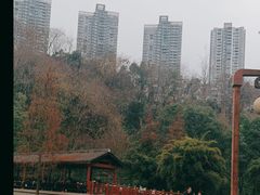 -重庆彩云湖湿地公园