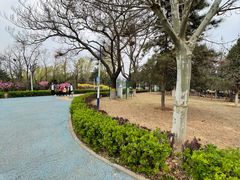 -青龙湖公园