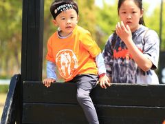 -春花秋色城市公园