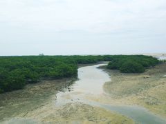 -北海金海湾红树林生态旅游区