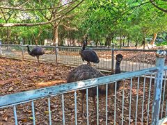 -广东茂名森林公园