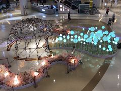-深圳龙华星河COCO City(民治店)