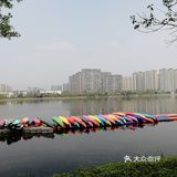 逛公园顺便买花花