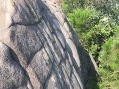-南山植物园