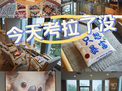 -了不起的考拉咖啡店(高新店)