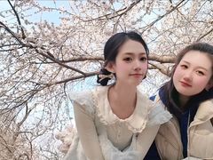 -桃花堤公园