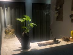 -东方菩提养生SPA馆(武昌总店)
