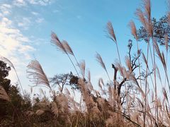 -金堂县云顶石城风景区