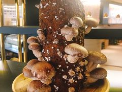 -椰子营·椰子鸡火锅(万象里店)
