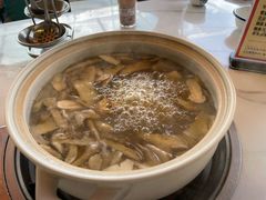 -蘑统田下·野生菌火锅