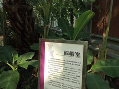 -北京植物园-展览温室