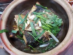特色鱼头煲-华仔土鸡店(南洲分店)