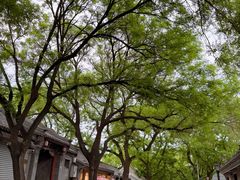 -北京国子监胡同