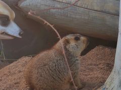 -泉州海丝野生动物世界
