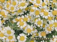 -EnergyCake蛋糕理想国