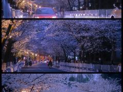 -鸡鸣寺
