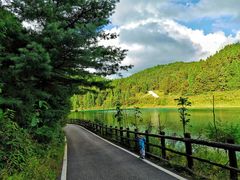 -武陵山森林公园