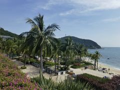 -日落吧·海景咖啡厅·餐酒吧·鸡尾酒·下午茶·乐队表演·浪漫夕阳·三亚文华东方酒店