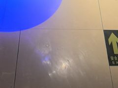 -渔歌子鱼头王(郑州总店)