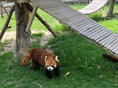 -水上乐园·欢乐世界