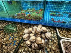 -周记老沈阳焦火鸡架