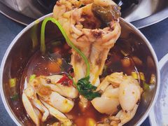 -鸿顺老铁锅美蛙鱼府(解放碑店)