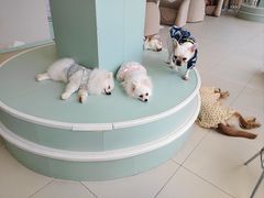 -怪兽屋·羊驼·猫咖·狗咖(俊华广场店)